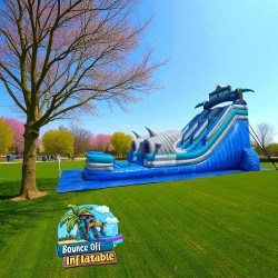 Shark Attack Slide