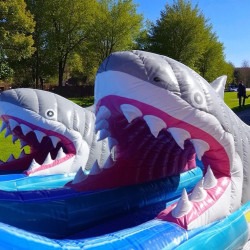 Photoroom 20250912 152709 1757806944 Shark Attack Slide
