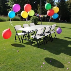 Table & 6 Chairs