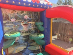 640374283 122186282402796550 852450078014794022 n 1772160526 Carnival Game - Frogger Launch